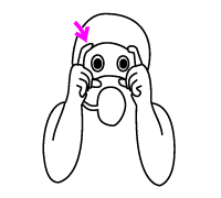 SeaSigns - Photograph